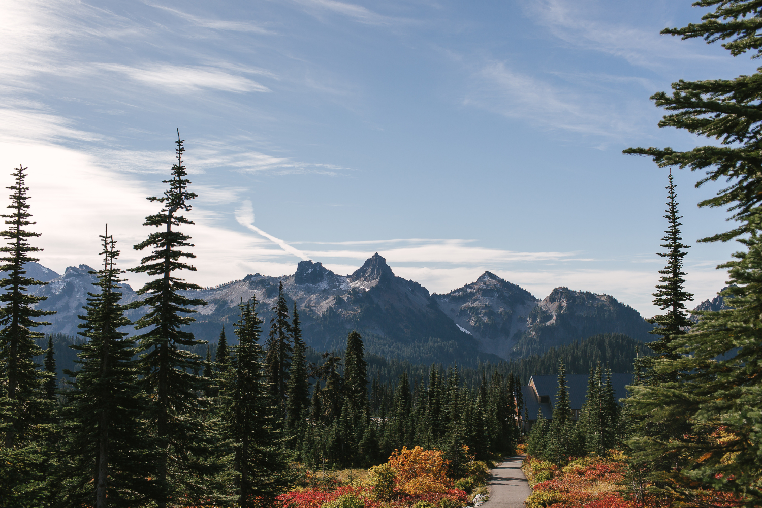 Green Waves Over Mt. Rainier